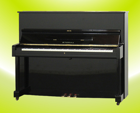 Music City – Tổng Kho Piano, Guitar, Organ | Dịch Vụ Giáo Dục Âm Nhạc