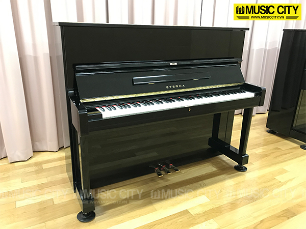 Music City – Tổng Kho Piano, Guitar, Organ | Dịch Vụ Giáo Dục Âm Nhạc