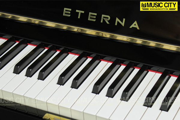 Music City – Tổng Kho Piano, Guitar, Organ | Dịch Vụ Giáo Dục Âm Nhạc