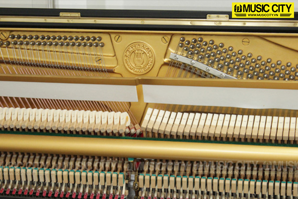 Music City – Tổng Kho Piano, Guitar, Organ | Dịch Vụ Giáo Dục Âm Nhạc