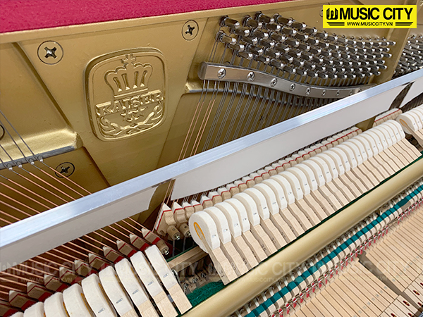 Music City – Tổng Kho Piano, Guitar, Organ | Dịch Vụ Giáo Dục Âm Nhạc