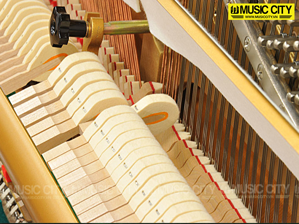 Music City – Tổng Kho Piano, Guitar, Organ | Dịch Vụ Giáo Dục Âm Nhạc