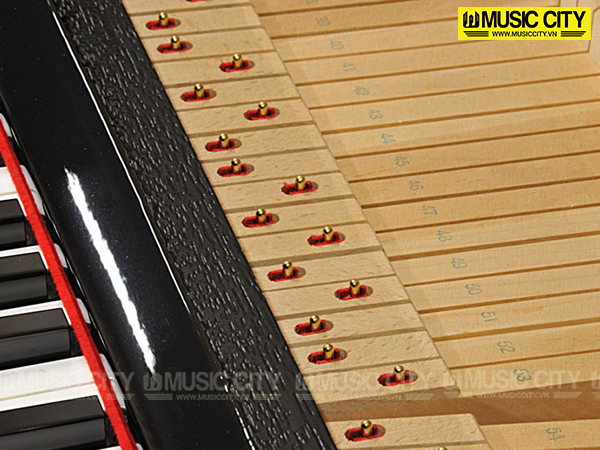 Music City – Tổng Kho Piano, Guitar, Organ | Dịch Vụ Giáo Dục Âm Nhạc