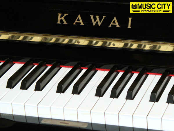 Music City – Tổng Kho Piano, Guitar, Organ | Dịch Vụ Giáo Dục Âm Nhạc