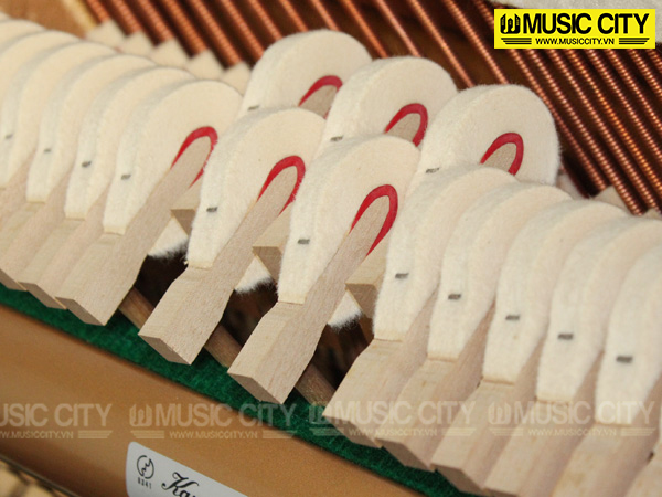 Music City – Tổng Kho Piano, Guitar, Organ | Dịch Vụ Giáo Dục Âm Nhạc