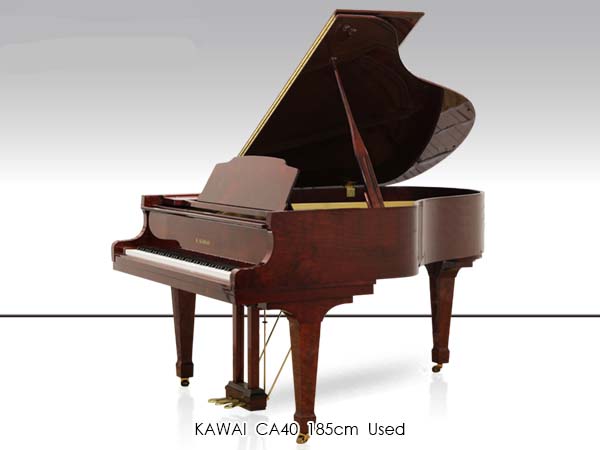 Music City – Tổng Kho Piano, Guitar, Organ | Dịch Vụ Giáo Dục Âm Nhạc