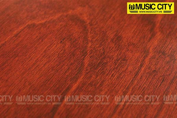 Music City – Tổng Kho Piano, Guitar, Organ | Dịch Vụ Giáo Dục Âm Nhạc