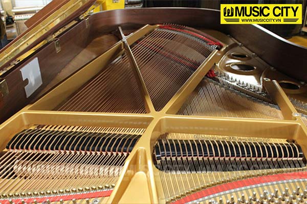 Đàn Grand Kawai CA60Wn - Ảnh 10