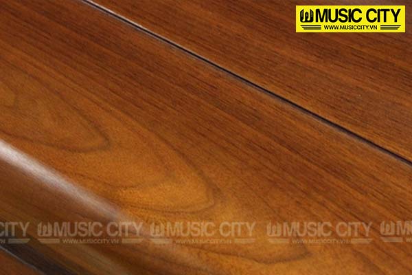 Music City – Tổng Kho Piano, Guitar, Organ | Dịch Vụ Giáo Dục Âm Nhạc
