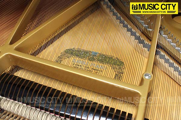 Đàn Grand Kawai CA60Wn - Ảnh 7