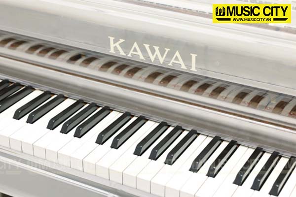 Music City – Tổng Kho Piano, Guitar, Organ | Dịch Vụ Giáo Dục Âm Nhạc