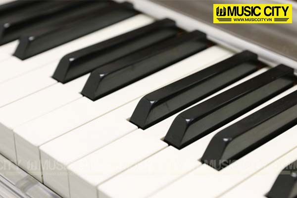 Music City – Tổng Kho Piano, Guitar, Organ | Dịch Vụ Giáo Dục Âm Nhạc