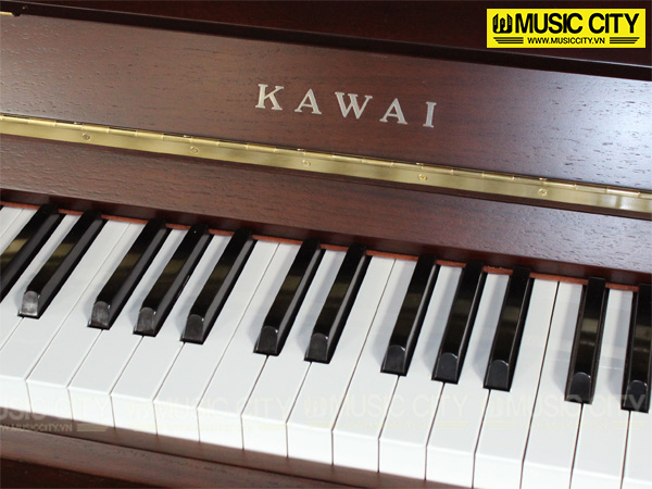 Music City – Tổng Kho Piano, Guitar, Organ | Dịch Vụ Giáo Dục Âm Nhạc