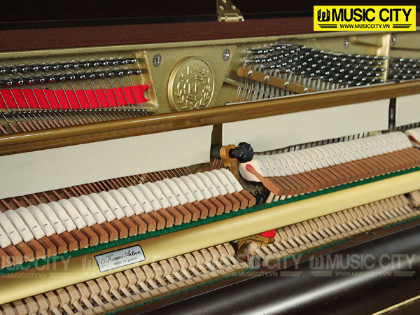 Music City – Tổng Kho Piano, Guitar, Organ | Dịch Vụ Giáo Dục Âm Nhạc