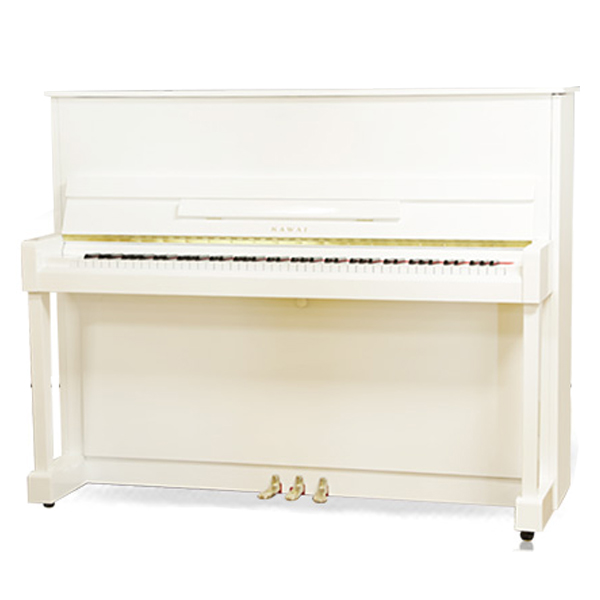 Music City – Tổng Kho Piano, Guitar, Organ | Dịch Vụ Giáo Dục Âm Nhạc