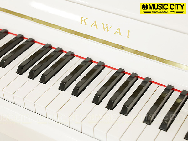 Music City – Tổng Kho Piano, Guitar, Organ | Dịch Vụ Giáo Dục Âm Nhạc