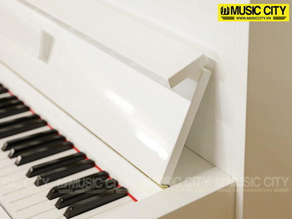 Music City – Tổng Kho Piano, Guitar, Organ | Dịch Vụ Giáo Dục Âm Nhạc