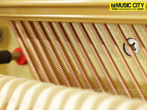Music City – Tổng Kho Piano, Guitar, Organ | Dịch Vụ Giáo Dục Âm Nhạc