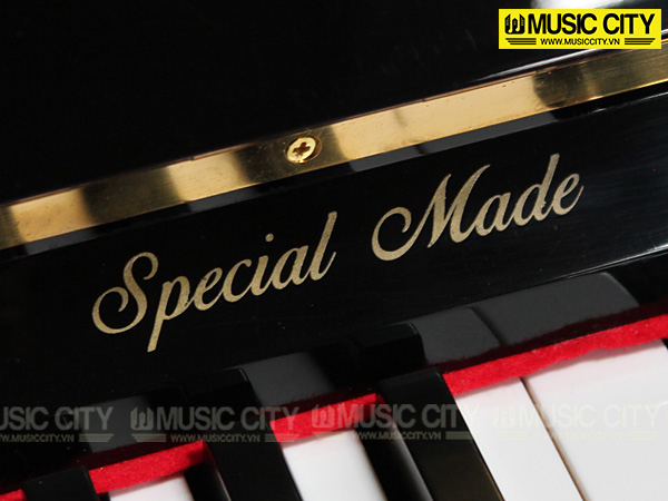 Music City – Tổng Kho Piano, Guitar, Organ | Dịch Vụ Giáo Dục Âm Nhạc