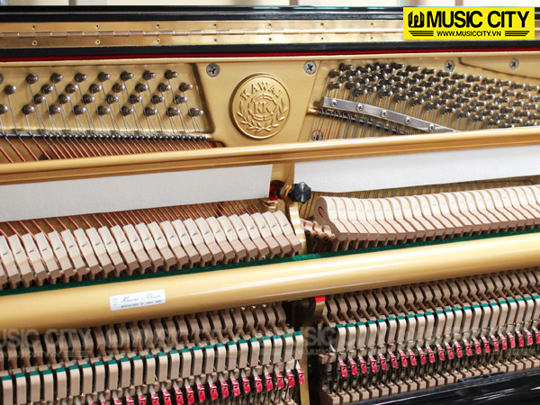 Music City – Tổng Kho Piano, Guitar, Organ | Dịch Vụ Giáo Dục Âm Nhạc