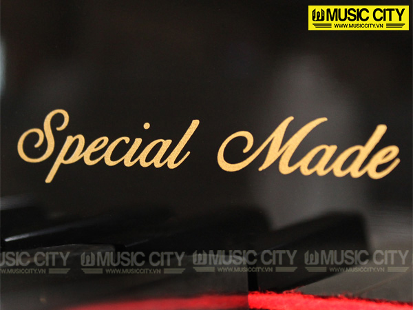 Music City – Tổng Kho Piano, Guitar, Organ | Dịch Vụ Giáo Dục Âm Nhạc