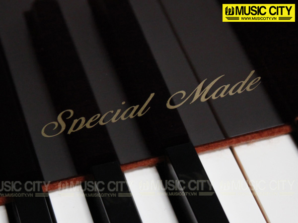 Music City – Tổng Kho Piano, Guitar, Organ | Dịch Vụ Giáo Dục Âm Nhạc