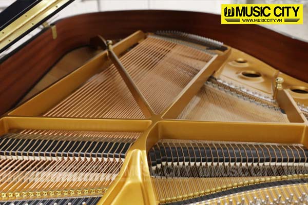 Music City – Tổng Kho Piano, Guitar, Organ | Dịch Vụ Giáo Dục Âm Nhạc