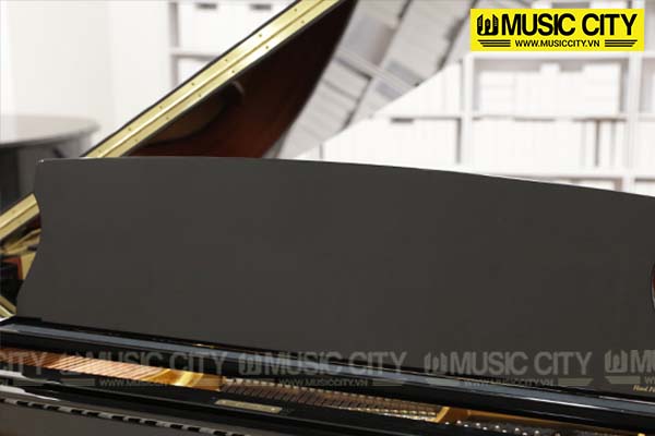 Music City – Tổng Kho Piano, Guitar, Organ | Dịch Vụ Giáo Dục Âm Nhạc