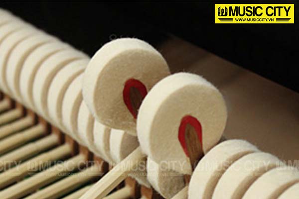 Music City – Tổng Kho Piano, Guitar, Organ | Dịch Vụ Giáo Dục Âm Nhạc