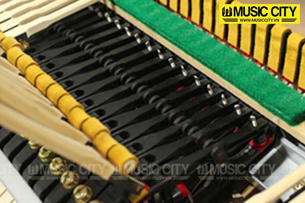 Music City – Tổng Kho Piano, Guitar, Organ | Dịch Vụ Giáo Dục Âm Nhạc