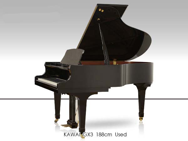 Music City – Tổng Kho Piano, Guitar, Organ | Dịch Vụ Giáo Dục Âm Nhạc