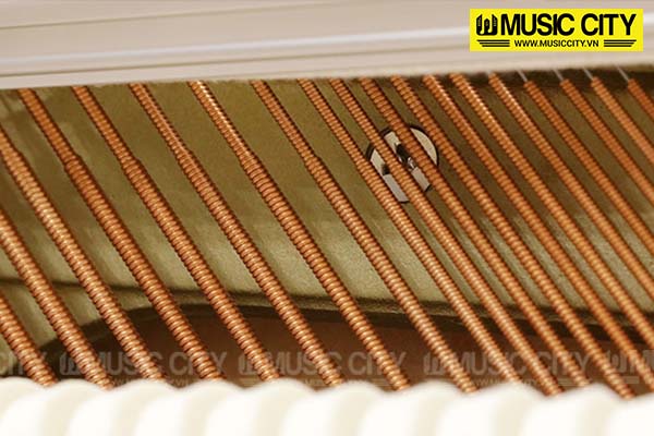 Music City – Tổng Kho Piano, Guitar, Organ | Dịch Vụ Giáo Dục Âm Nhạc