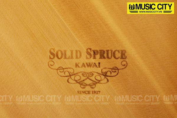 Music City – Tổng Kho Piano, Guitar, Organ | Dịch Vụ Giáo Dục Âm Nhạc