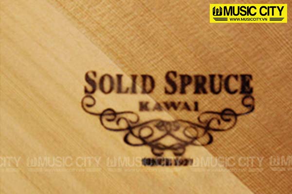 Music City – Tổng Kho Piano, Guitar, Organ | Dịch Vụ Giáo Dục Âm Nhạc