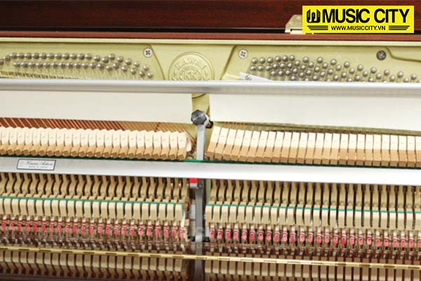 Music City – Tổng Kho Piano, Guitar, Organ | Dịch Vụ Giáo Dục Âm Nhạc
