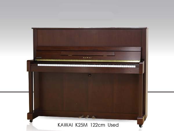 Music City – Tổng Kho Piano, Guitar, Organ | Dịch Vụ Giáo Dục Âm Nhạc