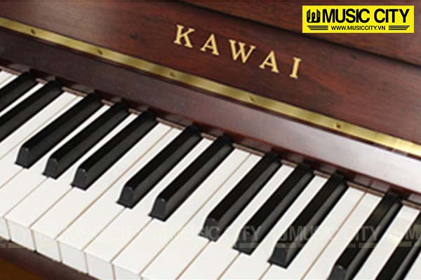 Music City – Tổng Kho Piano, Guitar, Organ | Dịch Vụ Giáo Dục Âm Nhạc