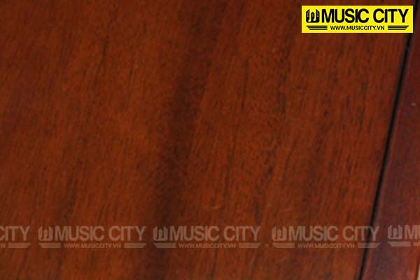 Music City – Tổng Kho Piano, Guitar, Organ | Dịch Vụ Giáo Dục Âm Nhạc