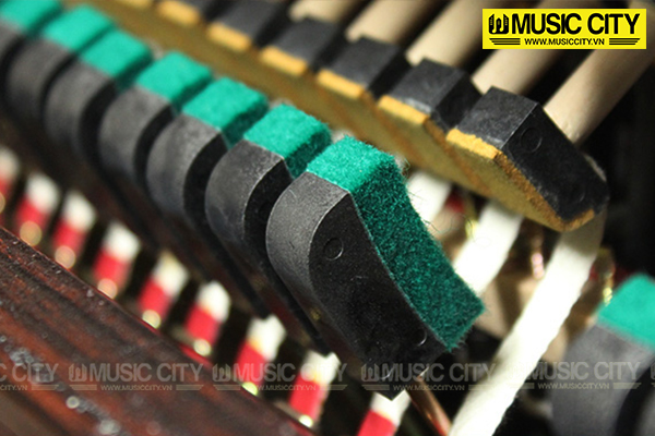 Music City – Tổng Kho Piano, Guitar, Organ | Dịch Vụ Giáo Dục Âm Nhạc