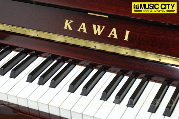 Music City – Tổng Kho Piano, Guitar, Organ | Dịch Vụ Giáo Dục Âm Nhạc