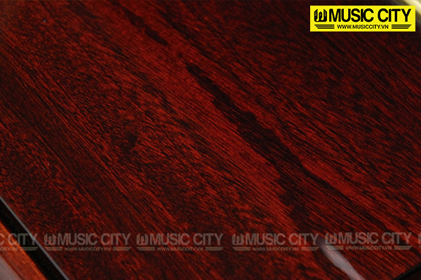 Music City – Tổng Kho Piano, Guitar, Organ | Dịch Vụ Giáo Dục Âm Nhạc