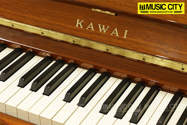 Music City – Tổng Kho Piano, Guitar, Organ | Dịch Vụ Giáo Dục Âm Nhạc