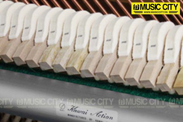 Music City – Tổng Kho Piano, Guitar, Organ | Dịch Vụ Giáo Dục Âm Nhạc
