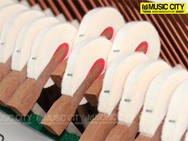 Music City – Tổng Kho Piano, Guitar, Organ | Dịch Vụ Giáo Dục Âm Nhạc