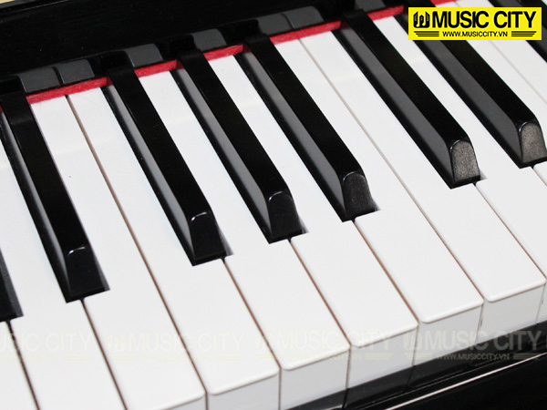 Music City – Tổng Kho Piano, Guitar, Organ | Dịch Vụ Giáo Dục Âm Nhạc