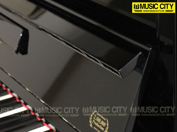 Music City – Tổng Kho Piano, Guitar, Organ | Dịch Vụ Giáo Dục Âm Nhạc