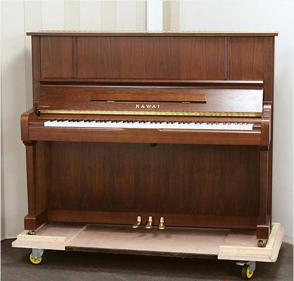 Music City – Tổng Kho Piano, Guitar, Organ | Dịch Vụ Giáo Dục Âm Nhạc