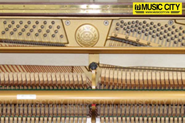 Music City – Tổng Kho Piano, Guitar, Organ | Dịch Vụ Giáo Dục Âm Nhạc