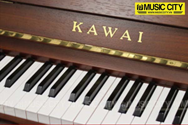 Music City – Tổng Kho Piano, Guitar, Organ | Dịch Vụ Giáo Dục Âm Nhạc
