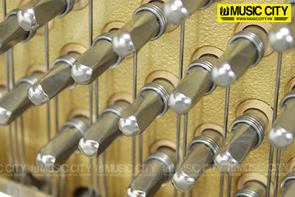 Music City – Tổng Kho Piano, Guitar, Organ | Dịch Vụ Giáo Dục Âm Nhạc